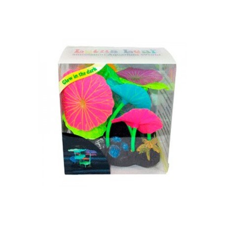 AD.6 PLANTAS+3 HONGOS FLUOR.
