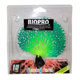 AD.CORAL FLUORESCENTE(OF)