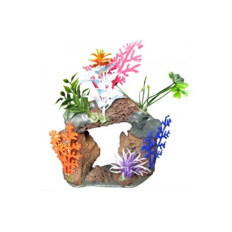CUEVA CON PLANTAS