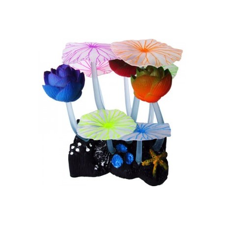 FLOR DE LOTO LATEX FLUOR.