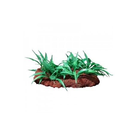 PIEDRA C/PLANTAS SURTIDA