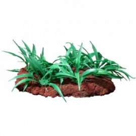 PIEDRA C/PLANTAS SURTIDA