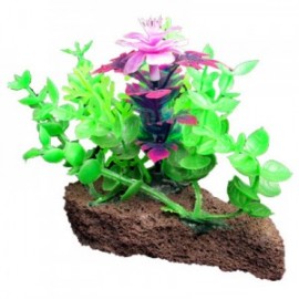 PIEDRA CON PLANTAS
