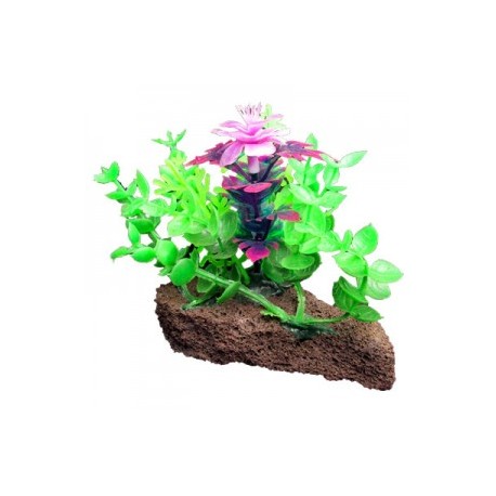 PIEDRA CON PLANTAS
