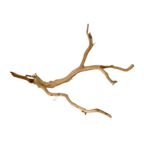 Raiz Manzanita Grande
