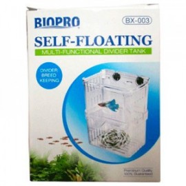 MATERNIDAD FLOTANTE