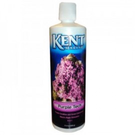 PURPLE TECH 454 ML.(OF)