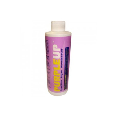 PURPLE UP 227 ML.
