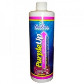 PURPLE UP 454 ML.