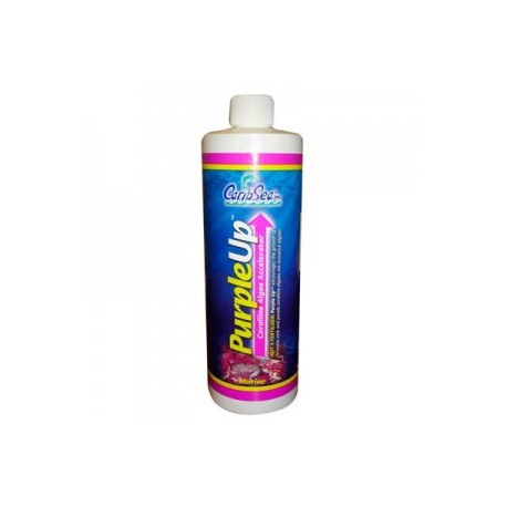 PURPLE UP 454 ML.