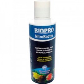 NITRO BACTERIA 250 ML.