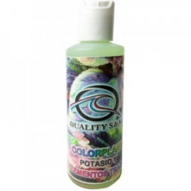 COLOR PLANT 130 ML.